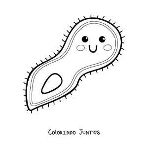 Desenho para colorir de um protozoário kawaii