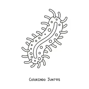 Desenho para colorir de uma bactéria