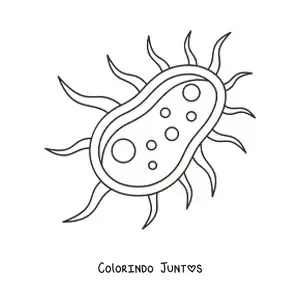 Desenho para colorir de uma célula bacteriana