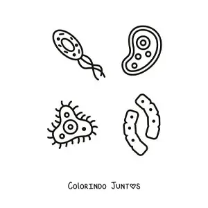 Desenho para colorir de vários microrganismos