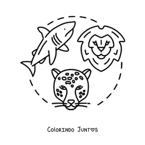 Desenho para colorir dos animais predadores