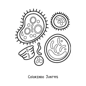 Desenho para colorir de bactérias e células