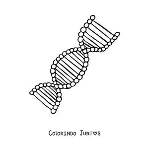 Desenho para colorir de uma cadeia de DNA