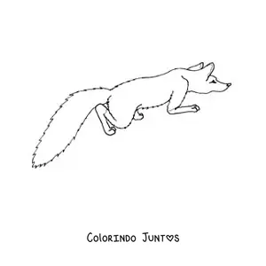 Desenho para colorir de uma raposa selvagem agachada vista de cima