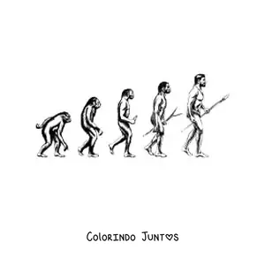 Desenho para colorir da evolução humana