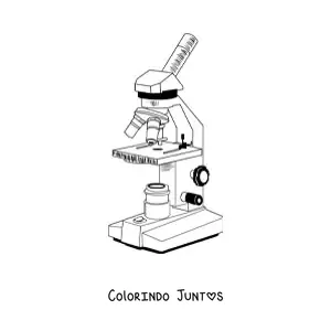 Desenho para colorir das partes de um microscopio composto moderno