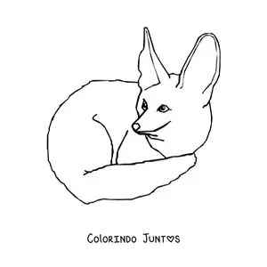 Desenho para colorir de uma raposa-do-deserto agachada