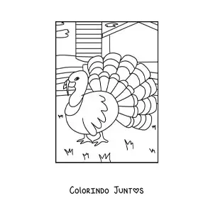Desenho para colorir de um pavão na fazenda