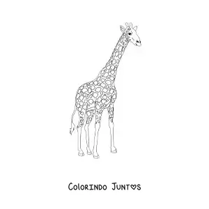 Desenho para colorir de uma girafa olhando para a direita