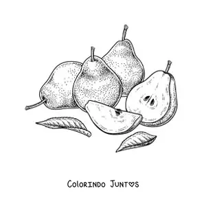 Desenho para colorir de quatro peras fatiadas