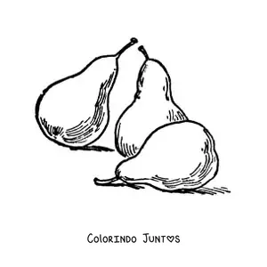 Desenho para colorir de três peras inteiras