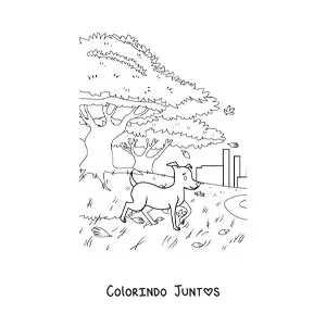 Desenho para colorir de um cachorro e uma paisagem de outono