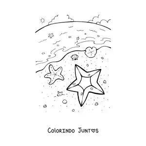 Desenho para colorir de várias estrelas-do-mar na beira da praia