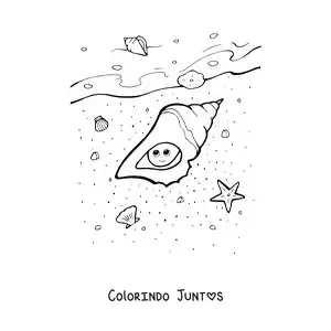 Desenho para colorir de um búzio kawaii na praia