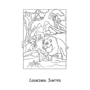 Desenho para colorir de uma família de ursos na floresta