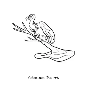 Desenho para colorir de um abutre do deserto