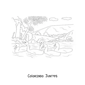 Desenho para colorir de um lago com cisnes