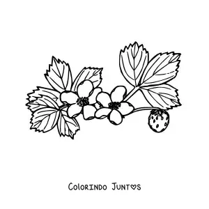 Desenho para colorir de um ramo de arbusto de morangos com flores