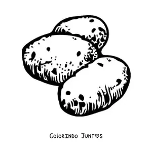 Desenho para colorir de três batatas cruas