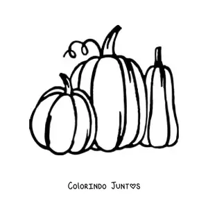 Desenho para colorir de três abóboras