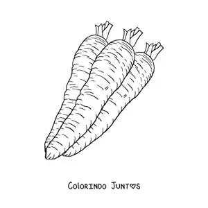 Desenho para colorir de três cenouras realistas