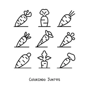 Desenho para colorir dos tipos de cenouras