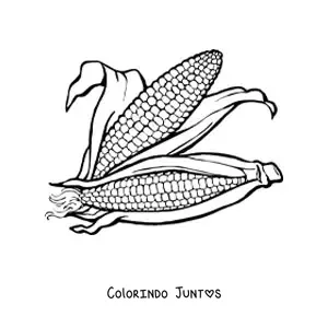 Desenho para colorir de duas espigas de milho realistas