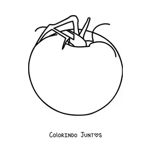 Desenho para colorir de um tomate grande com folhas