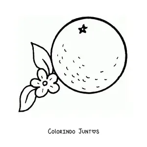 Desenho para colorir de uma laranja ao lado de sua flor