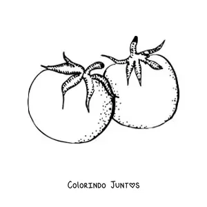 Desenho para colorir de dois tomates realistas