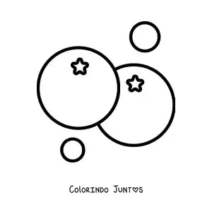 Desenho para colorir de dois tomates simples