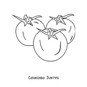 Desenho para colorir de três tomates pequenos com folhas