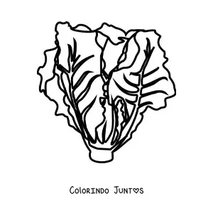 Desenho para colorir de uma alface romana