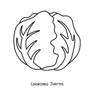 Desenho para colorir de uma alface repolhuda