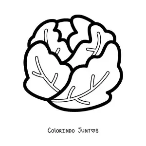 Desenho para colorir de uma alface repolhuda simples