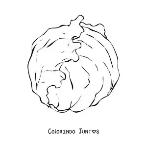 Desenho para colorir de uma alface americana