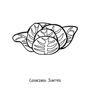 Desenho para colorir de uma alface
