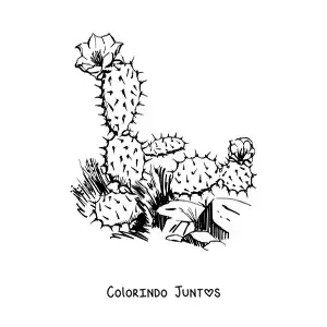 Desenho para colorir de um cacto realista