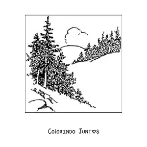 Desenho para colorir de uma paisagem com pinheiros realistas