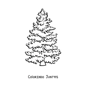 Desenho para colorir de um pinheiro frondoso