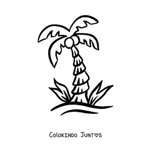 Desenho para colorir de uma palmeira com cocos