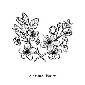 Desenho para colorir de várias flores e folhas de cerejeira