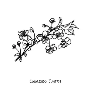 Desenho para colorir de um galho de cerejeira com flores