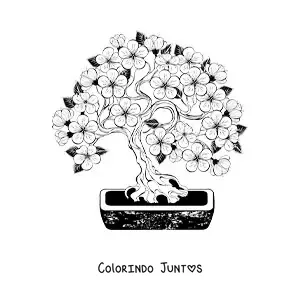 Desenho para colorir de um bonsai de cerejeira