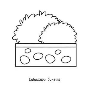 Desenho para colorir de um arbusto em um vaso