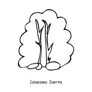 Desenho para colorir de um arbusto grande