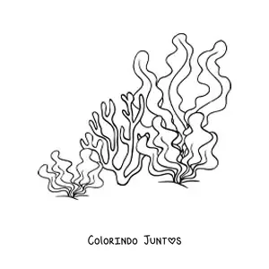 Desenho para colorir de umas algas e um coral