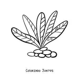Desenho para colorir de umas algas pluricelulares