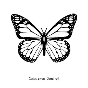 Desenho para colorir de uma borboleta-monarca com as asas abertas