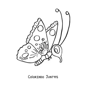 Desenho para colorir de uma borboleta animada de perfil
